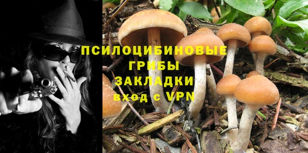 соль ск Алексеевка