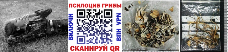 KRAKEN зеркало Ардон Псилоцибиновые грибы мухоморы